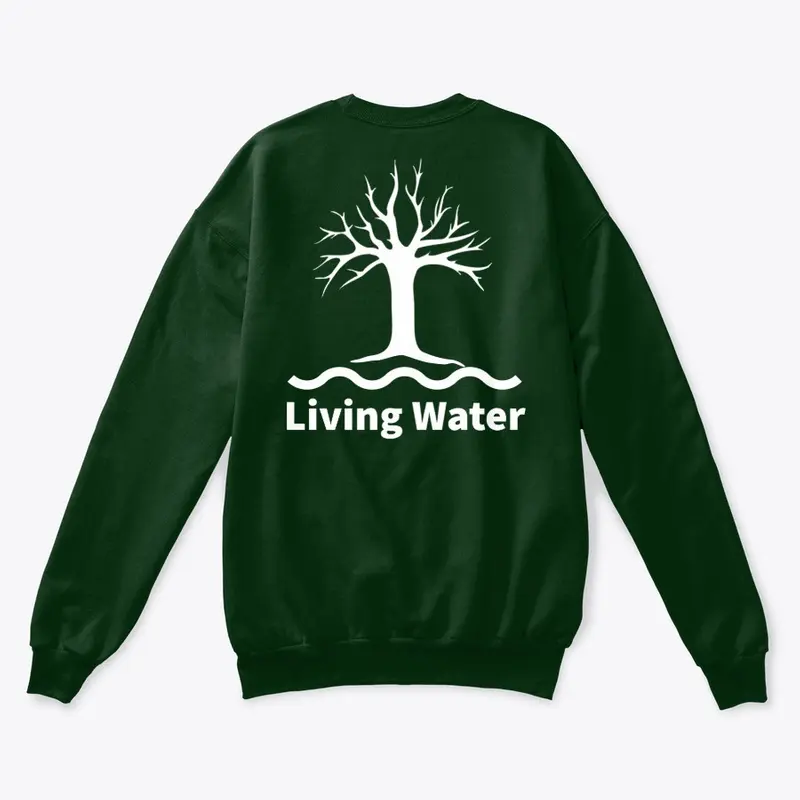 Living water 